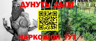 прущие крисы Нарткала