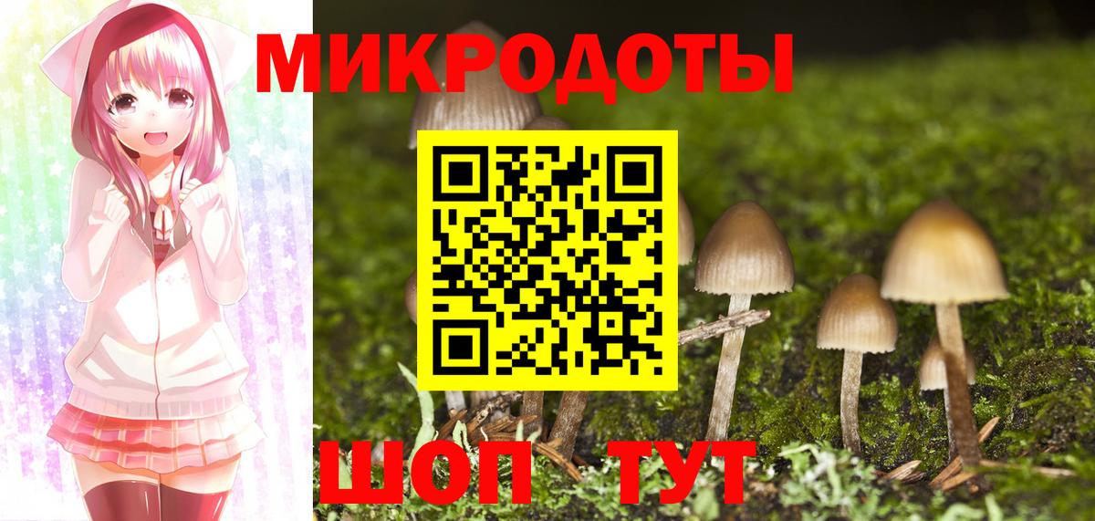 Псилоцибиновые грибы GOLDEN TEACHER  Вход с VPN  Якутск  Галлюциногенные грибы Psilocybine cubensis 
